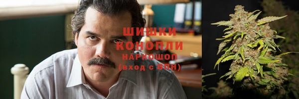 ешки Алзамай